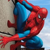 spider-man wall crawler