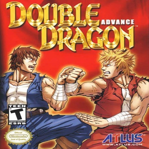 double dragon 3 mame