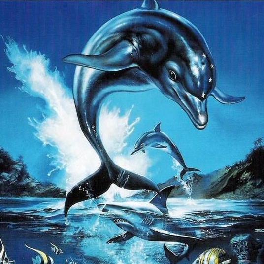 dolphin emulator online