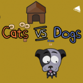 cats vs dogs io