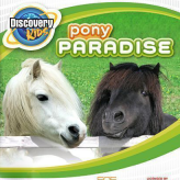 discovery kids: pony paradise