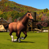 horse simulator 3d