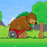 bear on a scooter