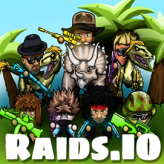 raids io