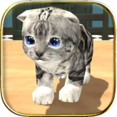 cat simulator: kitty craft